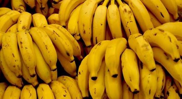 Banana: Prata se desvaloriza em quase todas as regiões
