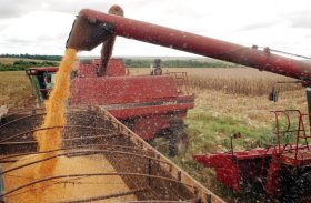 IBGE reduz para 228,1 milhões de toneladas previsão de safra de grãos