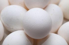 Preços dos ovos registram aumento na semana, aponta Cepea