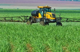 Entregas de fertilizantes podem registrar recordes até setembro, avalia Agroconsult