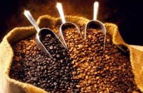 Consumo dos cafés especiais cresce 12% ao ano em nível mundial