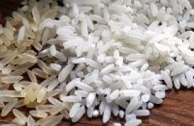Embrapa Cocais realiza curso sobre manejo integrado da cultura do arroz