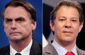 Haddad diz que é melhor Bolsonaro ‘já ir se acostumando’ com ele