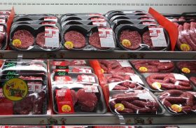 Rússia retoma compras de carne suína e bovina do Brasil