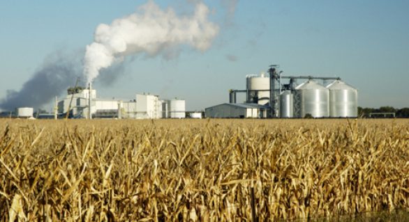 Produção de etanol cresce em 160 mi de litros em comparação a safra passada