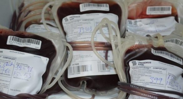 Hemoal Maceió promove Campanha de Doação de Sangue para o Carnaval