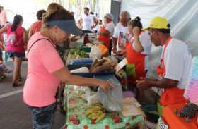 Feira Orgânica da Semarh acontece neste domingo (10), na Ponta Verde