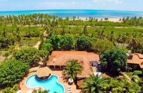 O paraíso dos coqueirais no Litoral Norte de Alagoas