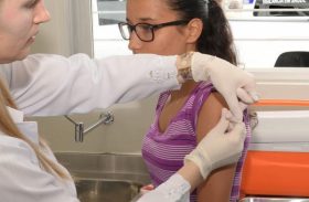 Febre amarela chega ao Sul e preocupa estados com baixa vacinação