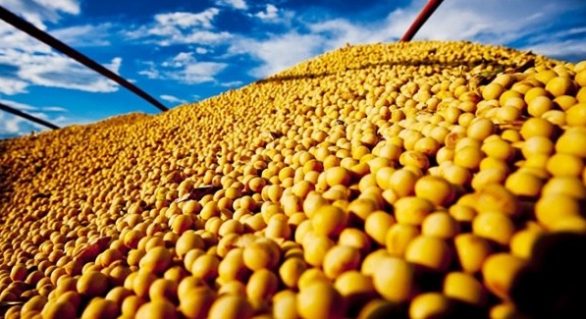 Aumento das exportações de soja podem afetar mercado interno