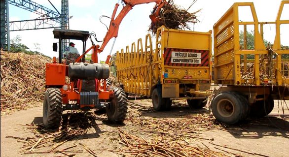 Safra 18/19 acumula produção de 15 milhões de toneladas de cana beneficiadas