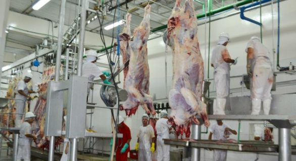 FrigoVale apoia vereadores no debate sobre comércio da carne em Arapiraca