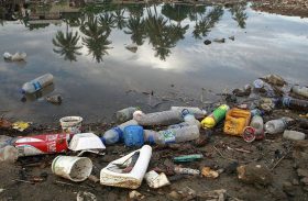 Brasil é o quarto país que mais produz lixo no mundo, diz WWF