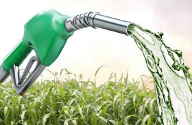Mais estados obtêm liminar para venda direta de etanol e aumenta pressão sobre ANP e Câmara
