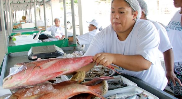 Tradicional Feira do Peixe vivo gera renda e oferece qualidade dos produtos