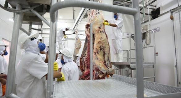 FrigoVale moderniza abate de carne em Alagoas