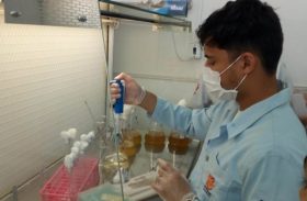 Polo Agroalimentar de Arapiraca beneficia a realização de pesquisas científicas em AL