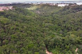Alagoas amplia reservas ambientais