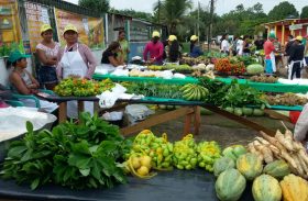 Fetag/AL vai realizar 1ª Feira da Agricultura em Maceió