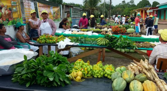 Fetag/AL vai realizar 1ª Feira da Agricultura em Maceió
