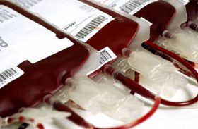 Campanha Junina de Doação de Sangue começa na segunda (10)