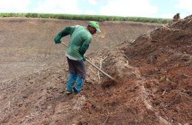 Chuva ajuda no plantio de cana em áreas de encostas