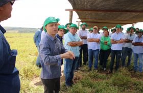 Produtores rurais da oitava turma do Mais Pasto participam de visita técnica