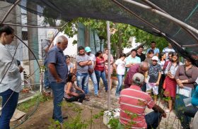 Produtores rurais participam de Curso de Enxertia para Fruticultura