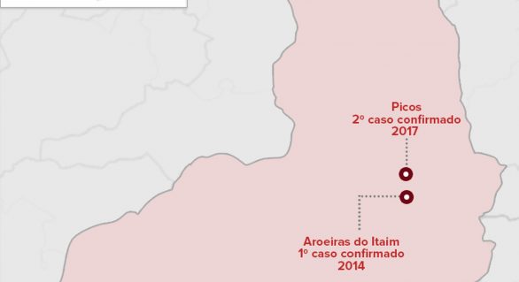 Terceiro caso de Febre do Nilo Ocidental é confirmado no Brasil