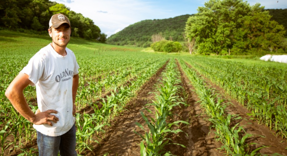 CRA aprova benefícios a agricultores e incentivos a produção sustentável