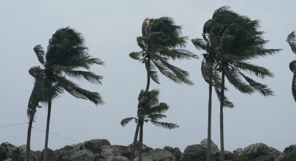 Fortes ventos de até 60km/h chegam ao litoral alagoano
