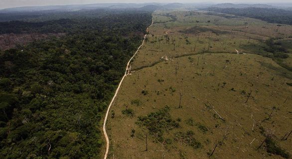 Alemanha suspende parte de verba que iria para a Amazônia