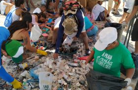 Ações do Dia Mundial da Limpeza são realizadas na praia do Francês