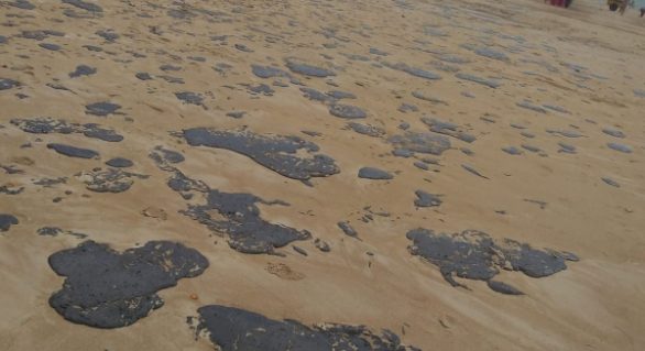 IMA alerta para cuidados com manchas de óleo nas praias