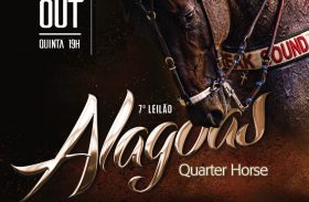 Catálogo do 7º Alagoas Quarter Horse está disponível na internet