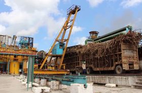 Usinas já ultrapassam dois milhões de toneladas de cana processadas