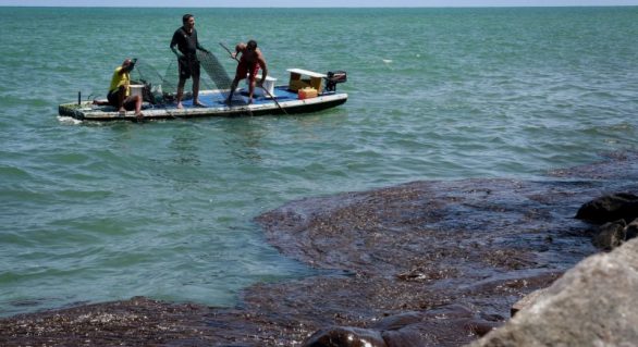 Pescadores alagoanos começam a receber Auxilio Emergencial a partir de hoje (16)