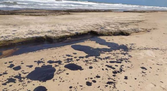 Segundo Ibama, quatro locais ainda têm manchas de óleo em Alagoas