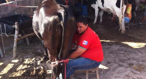 CPLA alerta que estiagem prejudica produção leiteira dos agricultores familiares