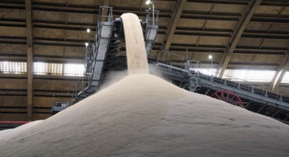 Produção acumulada de açúcar chega a 884 mil toneladas