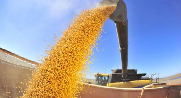 Safra de grãos fecha 2019 com recorde de produção