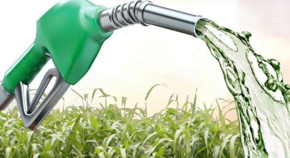 Governo estuda pacote de auxílio ao setor de etanol