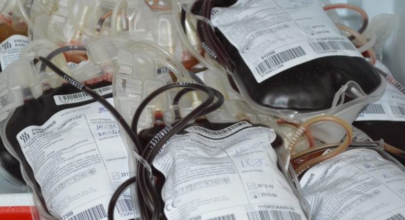 Transfusões de sangue são canceladas após Hemoal atingir o estoque mais crítico do ano