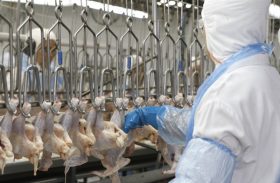 OMS fala sobre a China ter detectado coronavírus em frango brasileiro