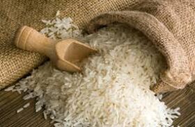 EUA puxam exportações de arroz