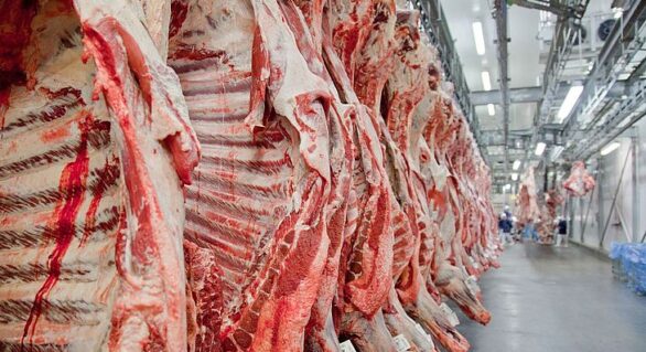 Exportações de carne do Brasil devem crescer 8,8%