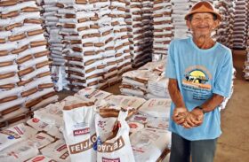 Renan Filho garante retomada do programa de sementes