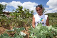 Programa Água para Todos muda a realidade do agreste e do sertão de Alagoas