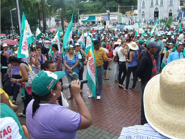 Federação dos Trabalhadores na Agricultura completa 50 anos de luta em Alagoas