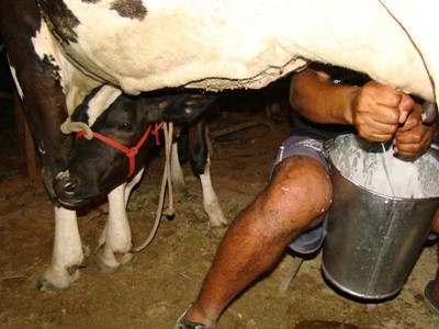 Codevasf reforça investimentos na bacia leiteira do sertão alagoano